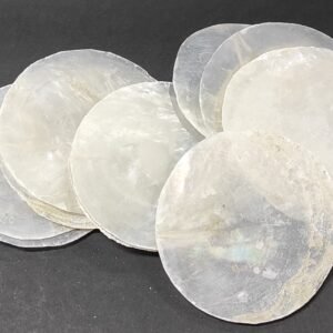 Conchas madre pérola redondas para  decoração ou lembranças