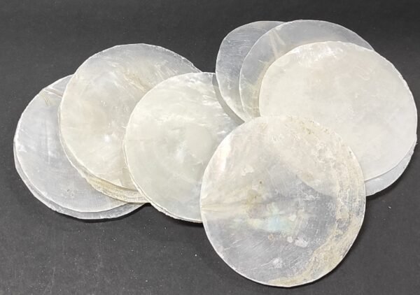 Conchas madre pérola redondas para  decoração ou lembranças