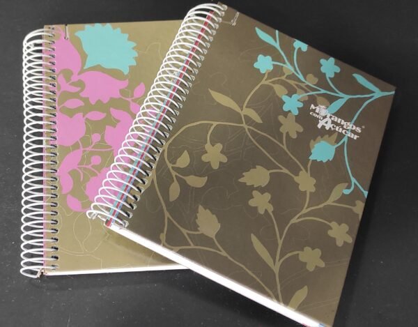 Caderno A6 argolas pautado